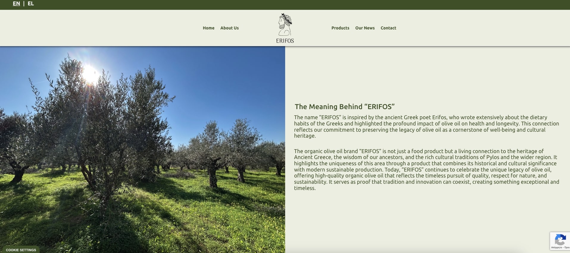 Κατασκευή Ιστοσελίδας Κατασκευή Ιστοσελίδας